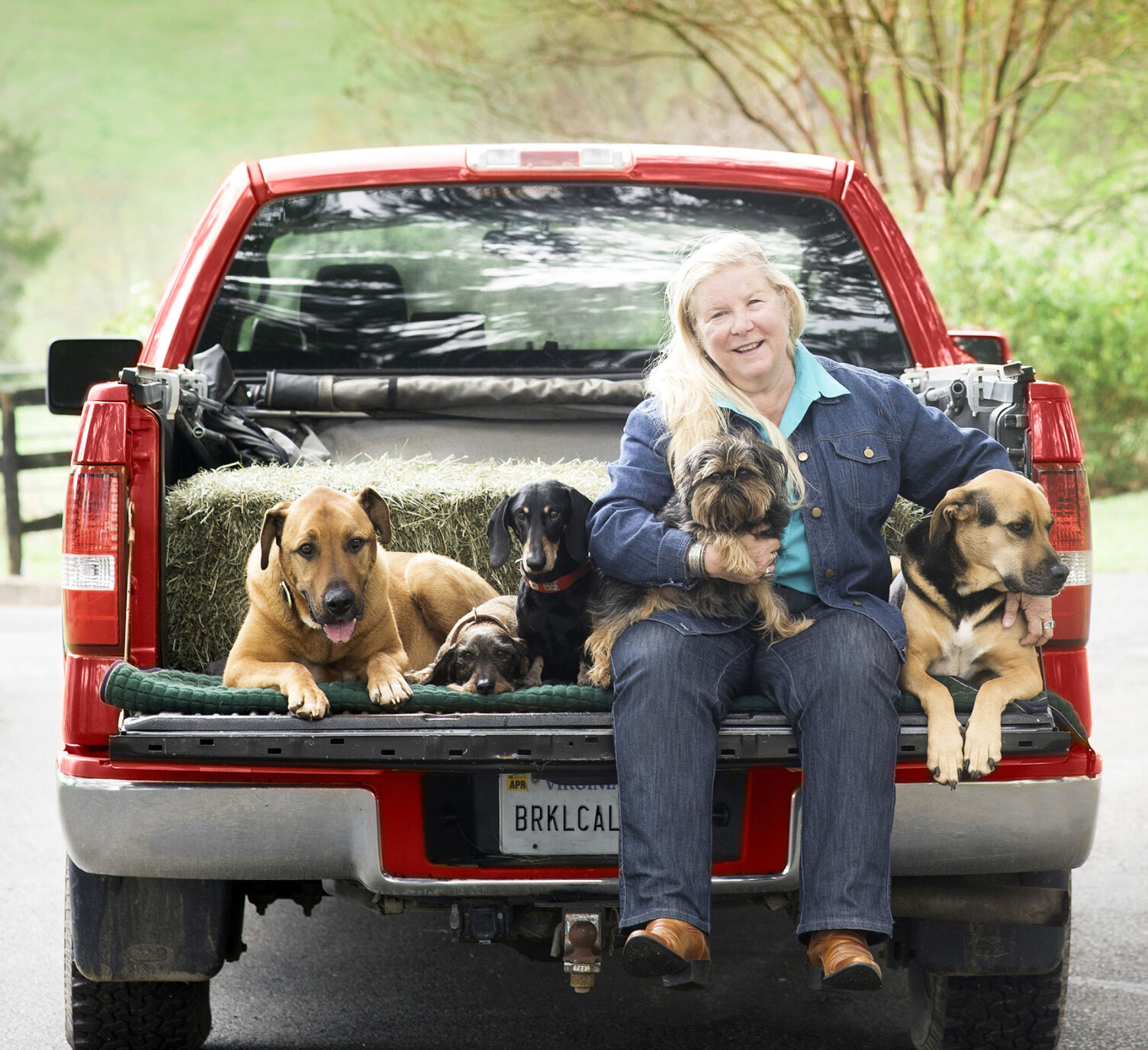 PattieZeller dogs in truck.jpg